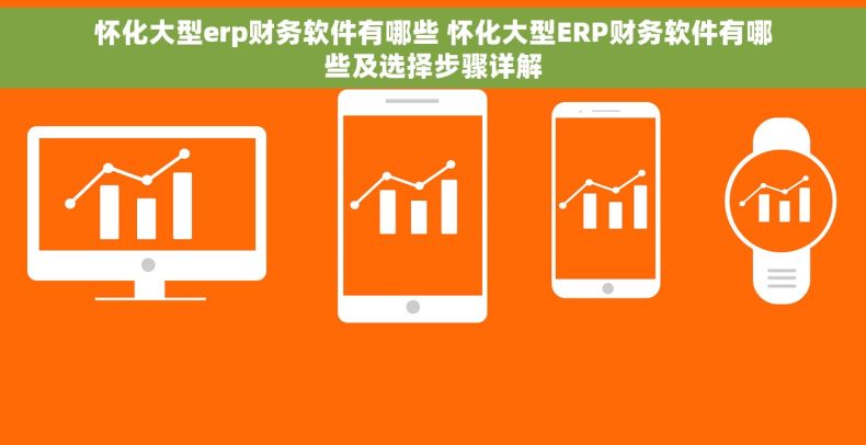 怀化大型erp财务软件有哪些 怀化大型ERP财务软件有哪些及选择步骤详解