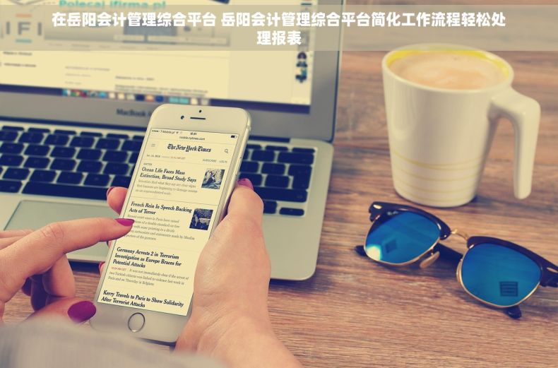 在岳阳会计管理综合平台 岳阳会计管理综合平台简化工作流程轻松处理报表