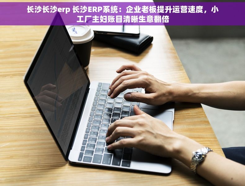 长沙长沙erp 长沙ERP系统：企业老板提升运营速度，小工厂主妇账目清晰生意翻倍