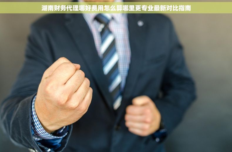 湖南财务代理哪好费用怎么算哪里更专业最新对比指南