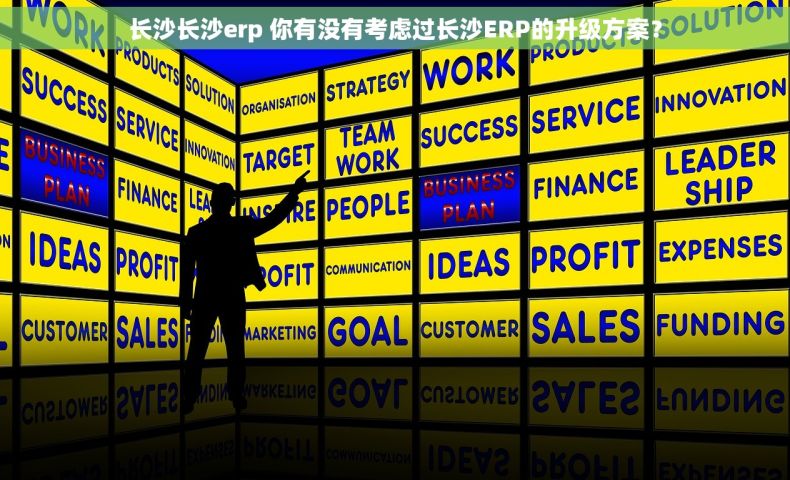 长沙长沙erp 你有没有考虑过长沙ERP的升级方案？