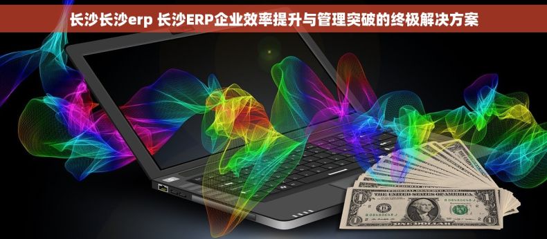 长沙长沙erp 长沙ERP企业效率提升与管理突破的终极解决方案