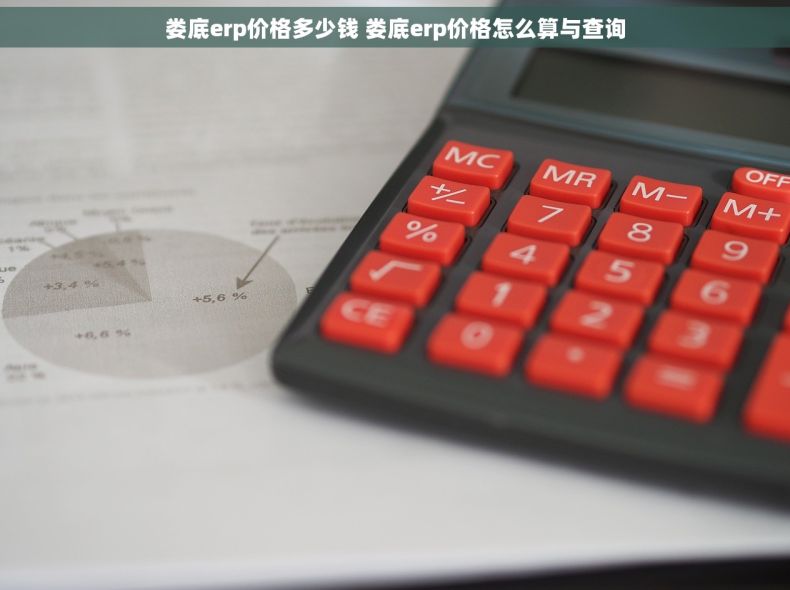 娄底erp价格多少钱 娄底erp价格怎么算与查询