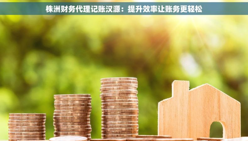 株洲财务代理记账汉源：提升效率让账务更轻松