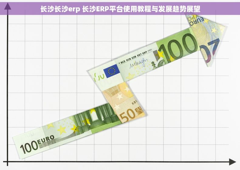 长沙长沙erp 长沙ERP平台使用教程与发展趋势展望
