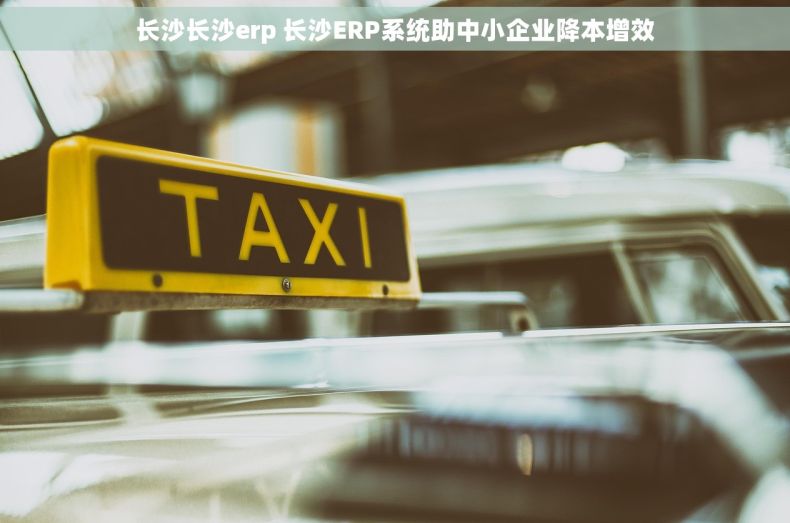 长沙长沙erp 长沙ERP系统助中小企业降本增效
