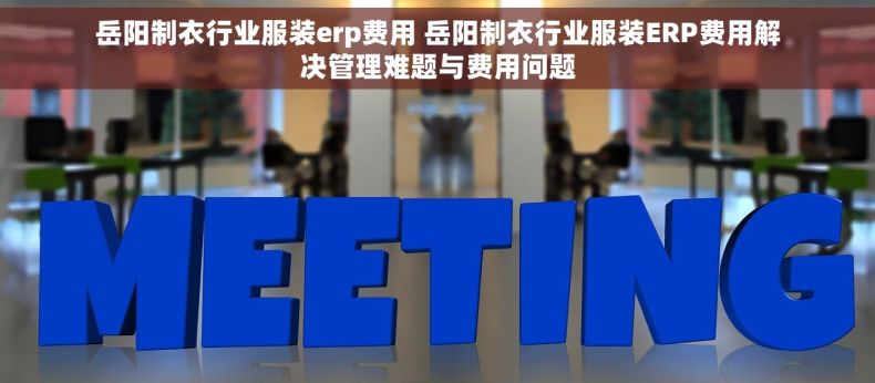 岳阳制衣行业服装erp费用 岳阳制衣行业服装ERP费用解决管理难题与费用问题