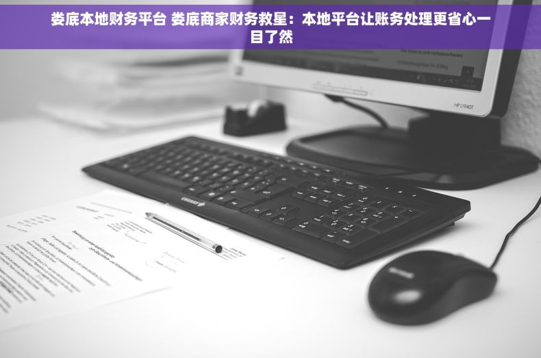 娄底本地财务平台 娄底商家财务救星：本地平台让账务处理更省心一目了然