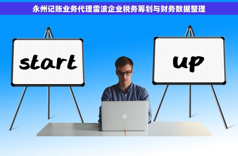 永州记账业务代理雷波企业税务筹划与财务数据整理