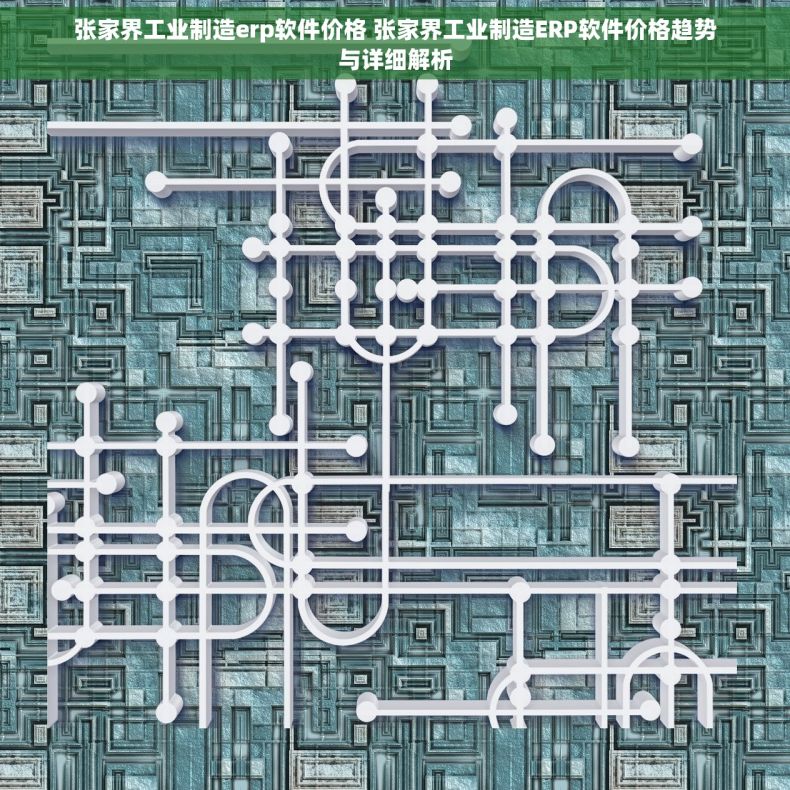 张家界工业制造erp软件价格 张家界工业制造ERP软件价格趋势与详细解析