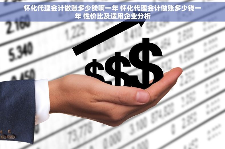 怀化代理会计做账多少钱啊一年 怀化代理会计做账多少钱一年 性价比及适用企业分析