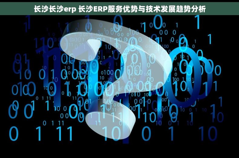 长沙长沙erp 长沙ERP服务优势与技术发展趋势分析
