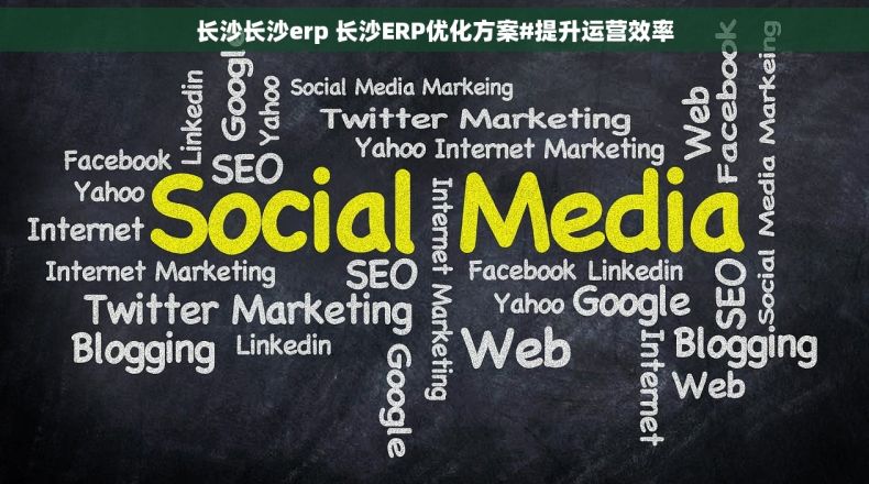 长沙长沙erp 长沙ERP优化方案#提升运营效率