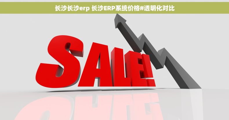 长沙长沙erp 长沙ERP系统价格#透明化对比