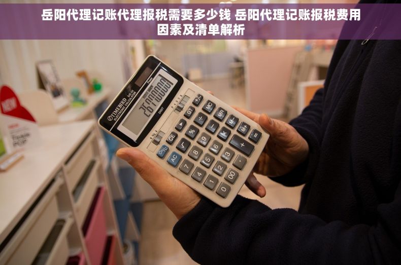 岳阳代理记账代理报税需要多少钱 岳阳代理记账报税费用因素及清单解析