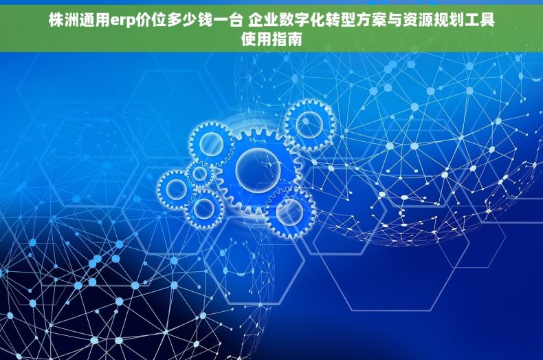 株洲通用erp价位多少钱一台 企业数字化转型方案与资源规划工具使用指南