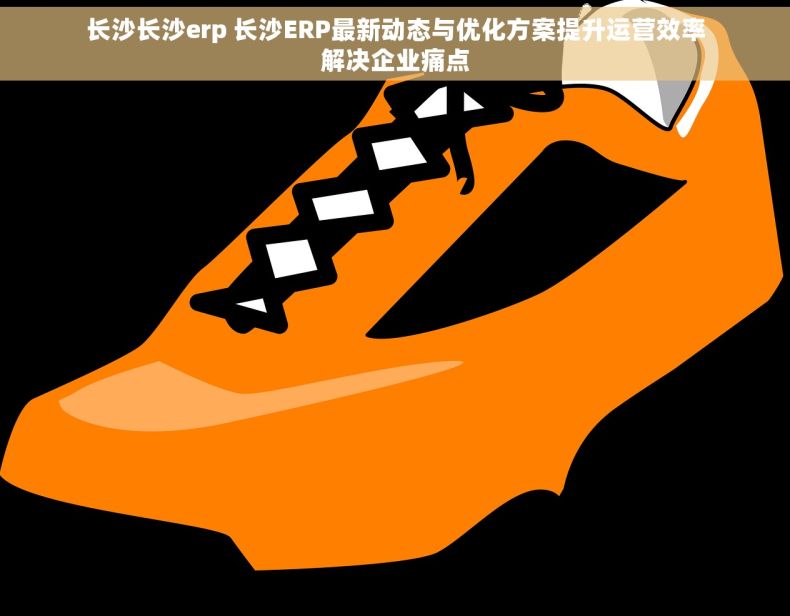 长沙长沙erp 长沙ERP最新动态与优化方案提升运营效率解决企业痛点