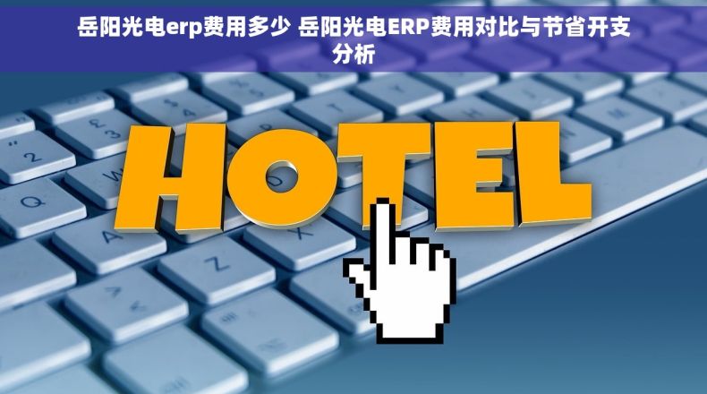 岳阳光电erp费用多少 岳阳光电ERP费用对比与节省开支分析