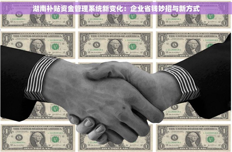 湖南补贴资金管理系统新变化：企业省钱妙招与新方式