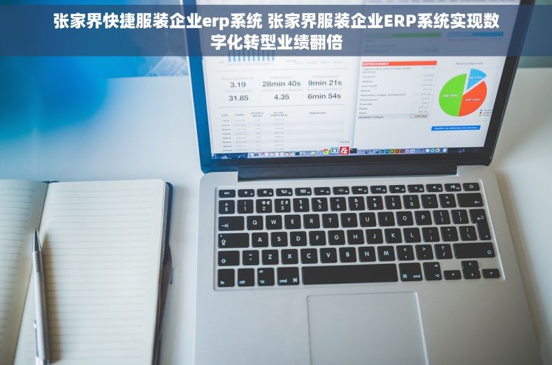 张家界快捷服装企业erp系统 张家界服装企业ERP系统实现数字化转型业绩翻倍