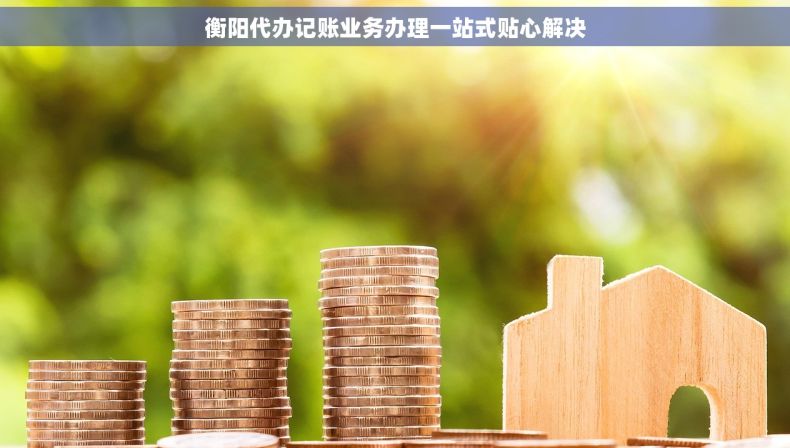衡阳代办记账业务办理一站式贴心解决