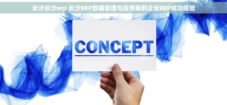 长沙长沙erp 长沙ERP数据管理与应用案例企业ERP成功经验