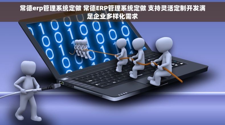 常德erp管理系统定做 常德ERP管理系统定做 支持灵活定制开发满足企业多样化需求