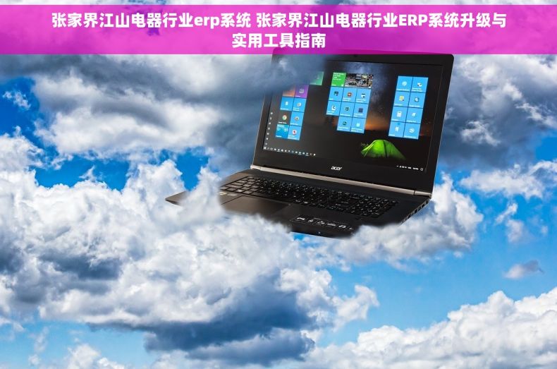 张家界江山电器行业erp系统 张家界江山电器行业ERP系统升级与实用工具指南