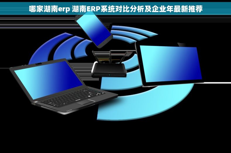 哪家湖南erp 湖南ERP系统对比分析及企业年最新推荐