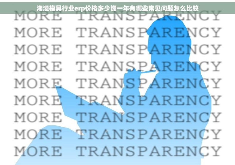 湘潭模具行业erp价格多少钱一年有哪些常见问题怎么比较