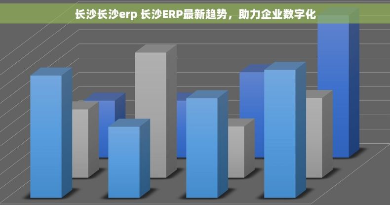 长沙长沙erp 长沙ERP最新趋势，助力企业数字化