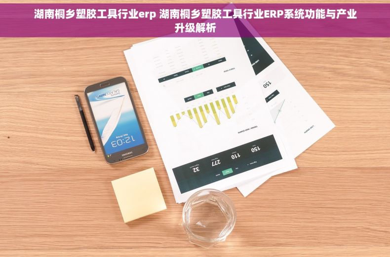 湖南桐乡塑胶工具行业erp 湖南桐乡塑胶工具行业ERP系统功能与产业升级解析