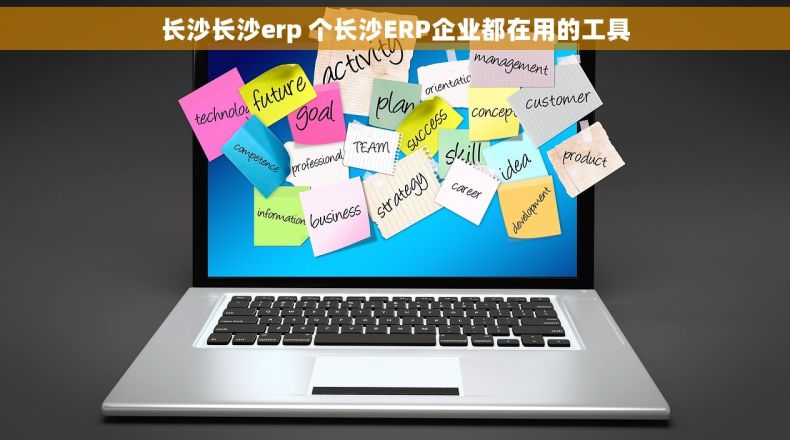 长沙长沙erp 个长沙ERP企业都在用的工具