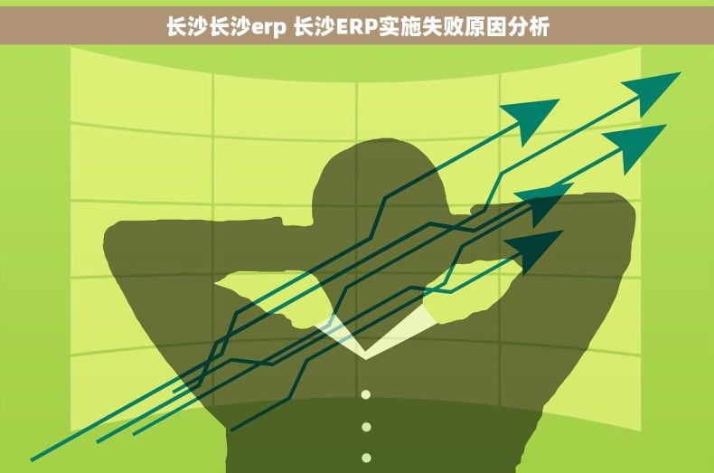 长沙长沙erp 长沙ERP实施失败原因分析
