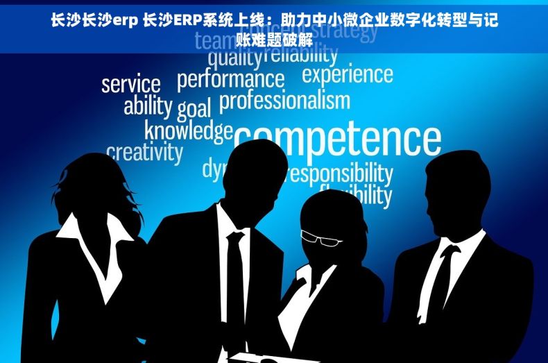 长沙长沙erp 长沙ERP系统上线：助力中小微企业数字化转型与记账难题破解