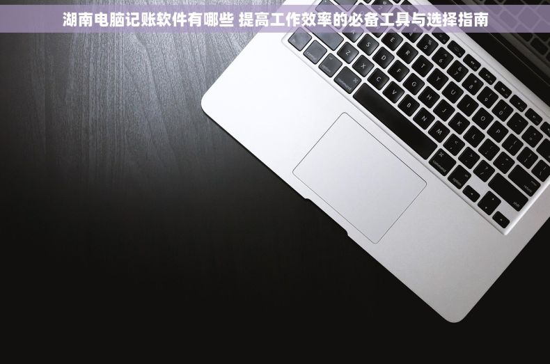 湖南电脑记账软件有哪些 提高工作效率的必备工具与选择指南