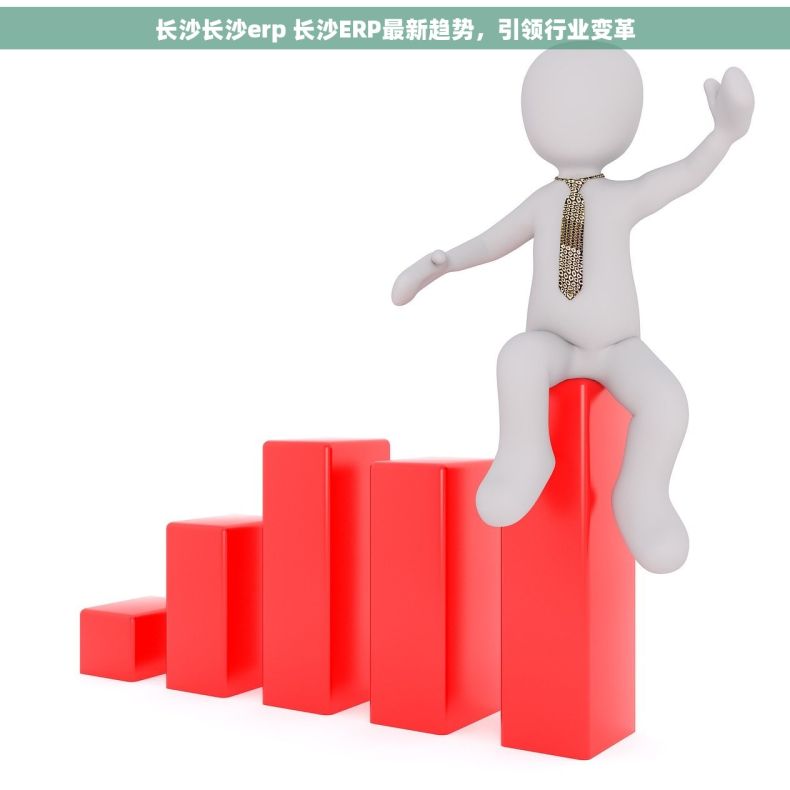 长沙长沙erp 长沙ERP最新趋势，引领行业变革