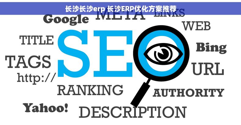 长沙长沙erp 长沙ERP优化方案推荐