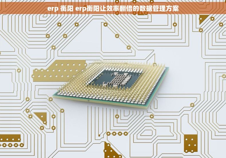 erp 衡阳 erp衡阳让效率翻倍的数据管理方案