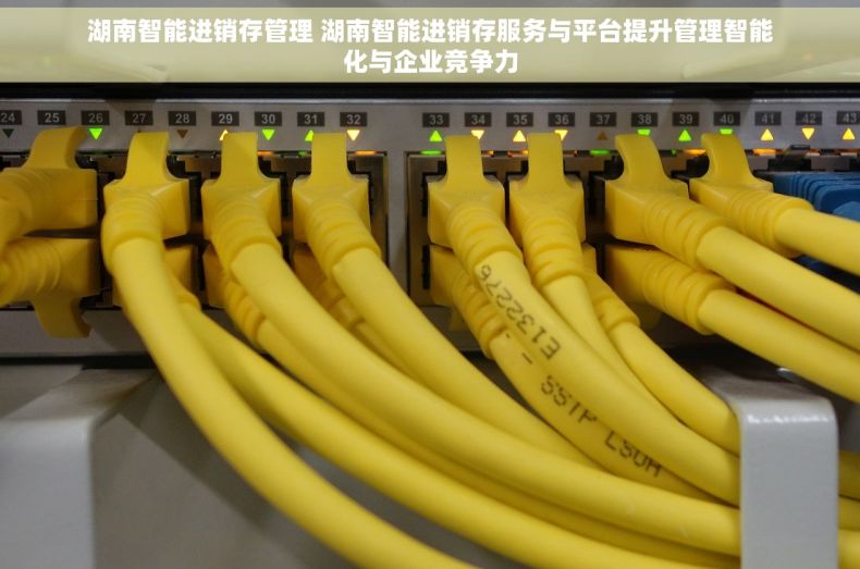 湖南智能进销存管理 湖南智能进销存服务与平台提升管理智能化与企业竞争力