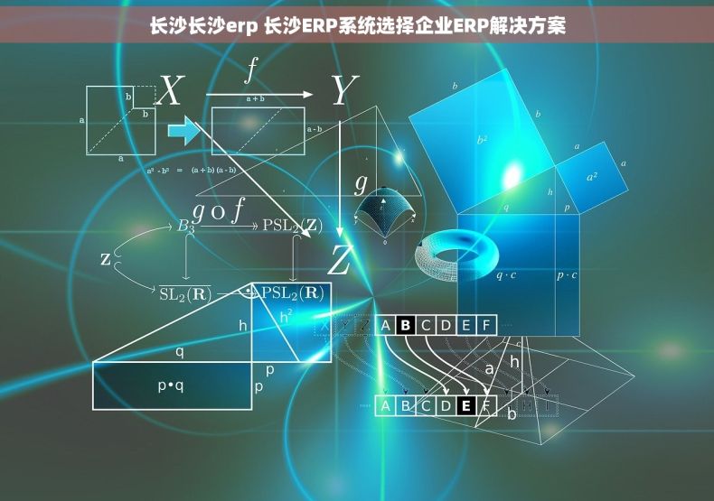 长沙长沙erp 长沙ERP系统选择企业ERP解决方案