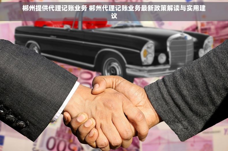 郴州提供代理记账业务 郴州代理记账业务最新政策解读与实用建议