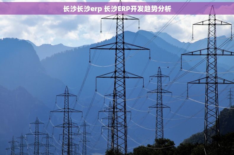 长沙长沙erp 长沙ERP开发趋势分析