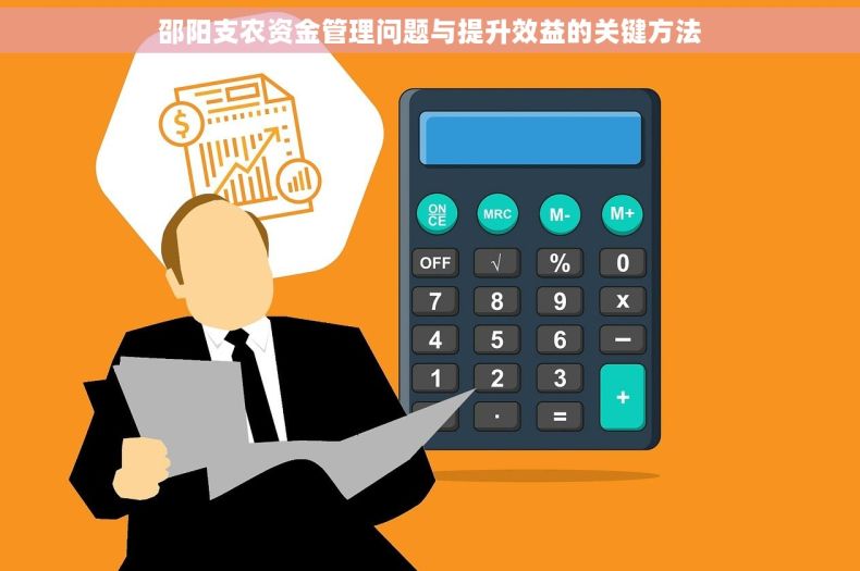 邵阳支农资金管理问题与提升效益的关键方法