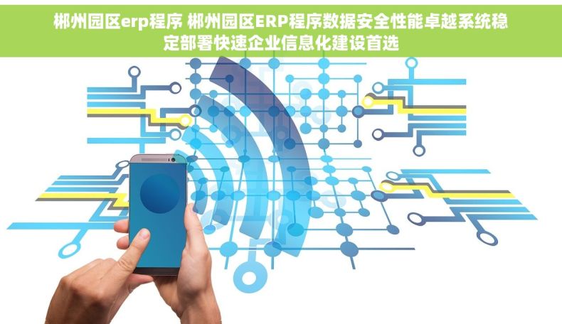 郴州园区erp程序 郴州园区ERP程序数据安全性能卓越系统稳定部署快速企业信息化建设首选