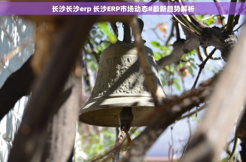 长沙长沙erp 长沙ERP市场动态#最新趋势解析
