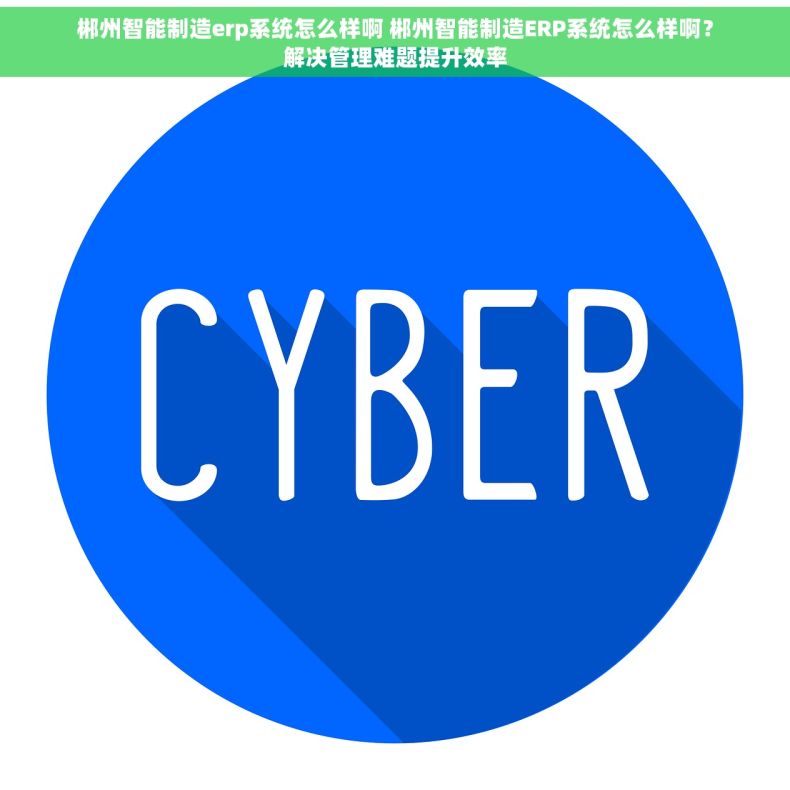 郴州智能制造erp系统怎么样啊 郴州智能制造ERP系统怎么样啊？解决管理难题提升效率