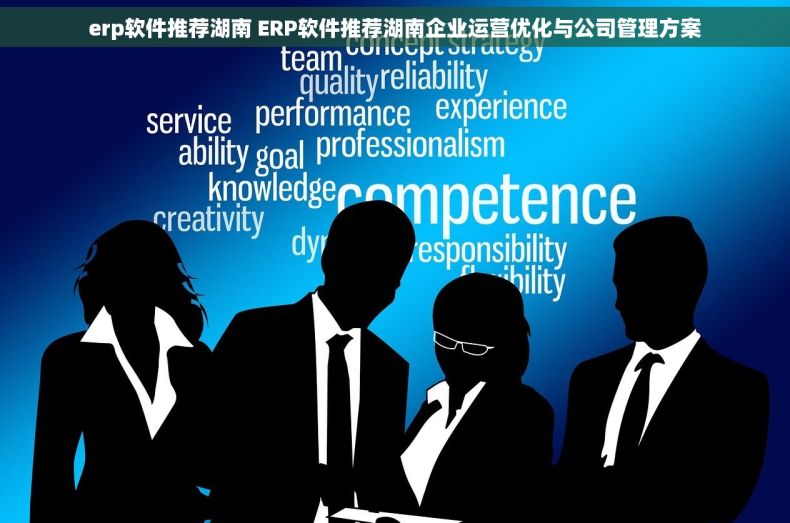 erp软件推荐湖南 ERP软件推荐湖南企业运营优化与公司管理方案
