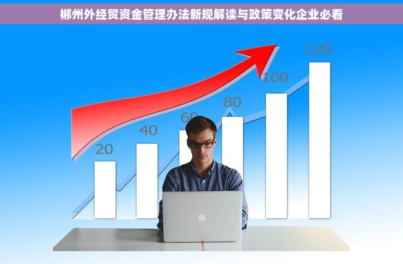 郴州外经贸资金管理办法新规解读与政策变化企业必看
