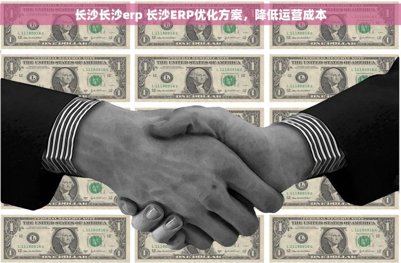 长沙长沙erp 长沙ERP优化方案，降低运营成本